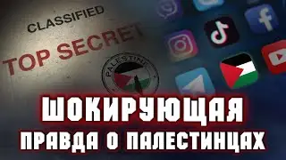 Аркадий Мил-Ман | Михаил Гуревич | Орит Перлов: Шокирующая правда о палестинцах