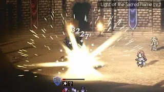 This stupid bird (Octopath COTC)