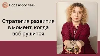 Стратегия развития в момент, когда все рушится
