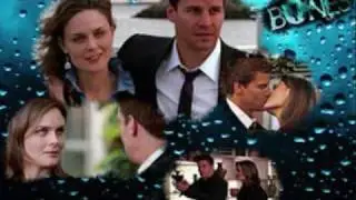 bones and booth- bless the broken rode