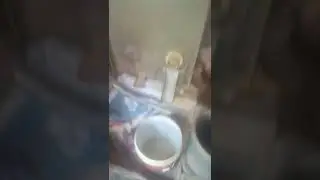 penggilingan padi satake bos 