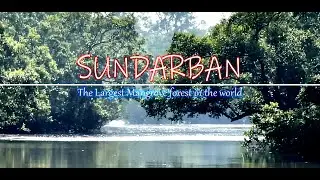 Sundarban Tour small range | সুন্দরবন ভ্রমন ছোট পরিসরে । Largest Mangrove Forest in the World