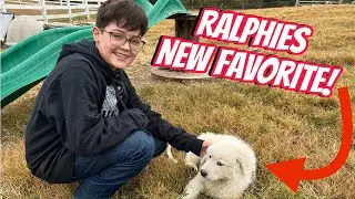 We Got A Puppy! Sleeperdude Families New Guard Dog.