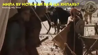 МИЛА ВУ ИСЛАМАН ВАЙ ЦА ХИЛАХЬ?