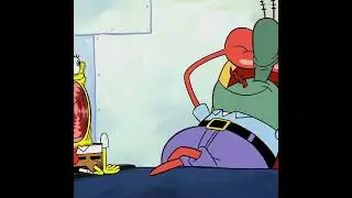sponge fan hd