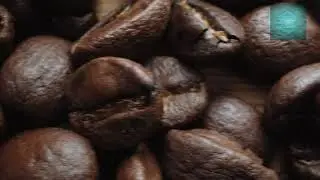 ☯Легкая фоновая музыка для дома и кафе☯Light background music for home and cafe☯