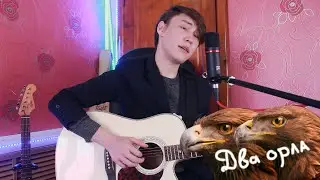 Два орла [cover Добрый Рокер]