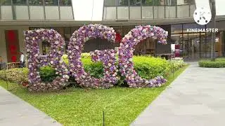 Bonifacio High Street | BGC Taguig PH. watch and enjoy the relaxing view of this place