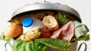FRISCH AUF DEN MÜLL - Die globale Lebensmittelverschwendung
