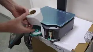 Заправка этикетки в весы с печатью без подложки