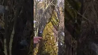 всё ради вас