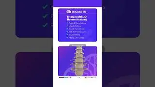 3D Human Anatomy for Students, Patients and Healthcare Professionals