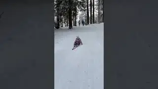 ТРАВМОБЕЗОПАСНЫЙ Спуск с горы на лыжах 🎿  