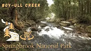 Boy-Ull Creek, Springbrook National Park - 360°/VR Immersive Experience