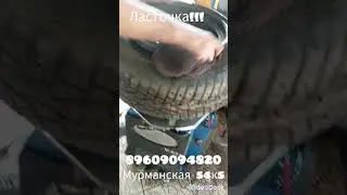 ласточка !!! мурманская 54к5  89609094820