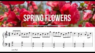Spring Flowers - Piano Tutorial - Sheet music