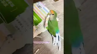 Self-expression. Video by: @shuhua3232 