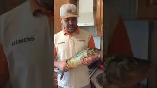 САЗАН 3 КГ/ CARP 3 KG.