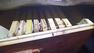 🐝🐝🐝Осмотр пчелосемей в омшаннике. Среднерусская на Урале.🍯🍯🍯