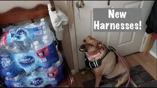 New Harnesses!