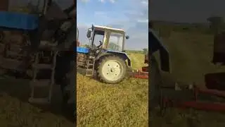 ЗАГОТОВКА СЕНАЖА В СТАВРОПОЛЬСКОМ КРАЕ
