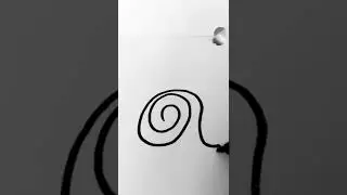Cool snail Easy drawing