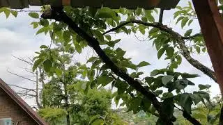 Сочи. Горное Лоо. Вечер. +25°C. 20. 06.2023г.©