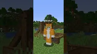 Minecraft, But It's YOU Against ME...