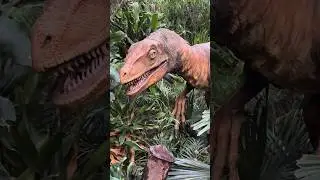 Dinosaur Found in jungle #enjoy  #funny #travel #gujjuinhongkong #china #familyvlog #shorts #hk