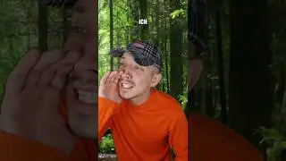 So war das jetzt nicht gemeint 🌲🤣