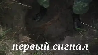 Металлокоп