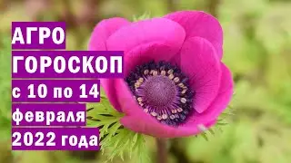 Agrohoroscope from 10 to 14 February 2022