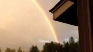 Bimbots confirmed rainbow!