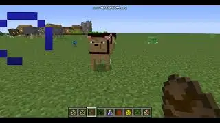 minecraft animal test 2