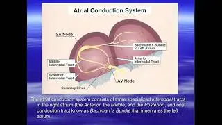Basic EKG Interpretation Part 1 Basics