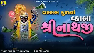 Vallabh Kul Na Vala Shrinathji | વલ્લભ કુળના વ્હાલા શ્રીનાથજી | Best Collection of Shreenathji Songs