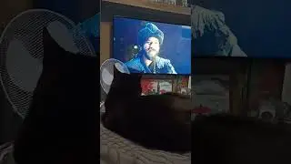 Любимые турецкие сериалы перед сном (Воскресший Эртугрул)