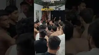 Wawaila #karbala #shorts #youtubeshorts