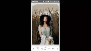 How to use presets in snapseed App? Snapseed new tricks