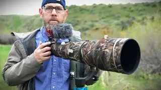 5 TIPS and TRICKS I learned photographing Birds!