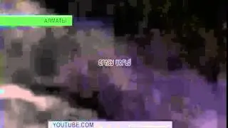 Crazy World | Vine #10