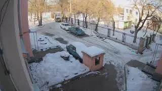 Птички ценят новую камеру