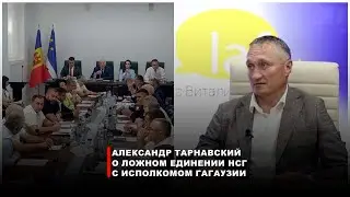 Александр Тарнавский о ложном единении Народного Собрания и Исполкома Гагаузии