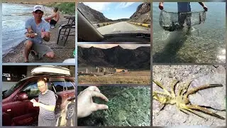 Рыбалка и отдых путешествия. Природа красиво. Ночью Паук фаланга 🕷️ и рак 🦂.