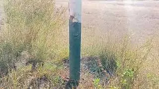 Ам жалау ❤️ жол бойында сігіп кетті
