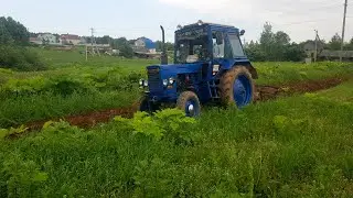 MTZ 80, MTZ-82 tractor plowing (USSR) 2020, PnL-3-35 (tips, skills) hogweed control