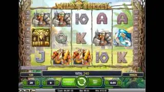 Обзор игрового автомата wild turkey  - бонусная игра, бесплатные спины