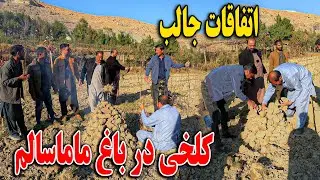 امروز در باغ ماما سالم کلخی کردیم - اتفاقات جالب و لت خوردن وحید از دست کاکا حسن😜😇