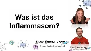 Easy Immunology - Das Inflammasom