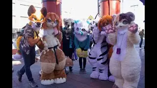 Kemono Fursuit Outing at Little Tokyo 2